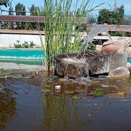 B&B La Gioiosa Ассізі Екстер'єр фото