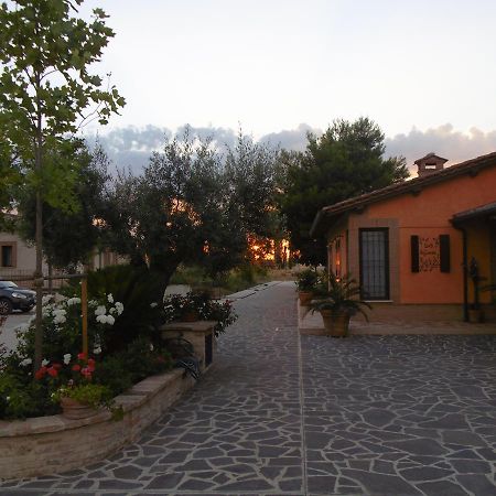 B&B La Gioiosa Ассізі Екстер'єр фото